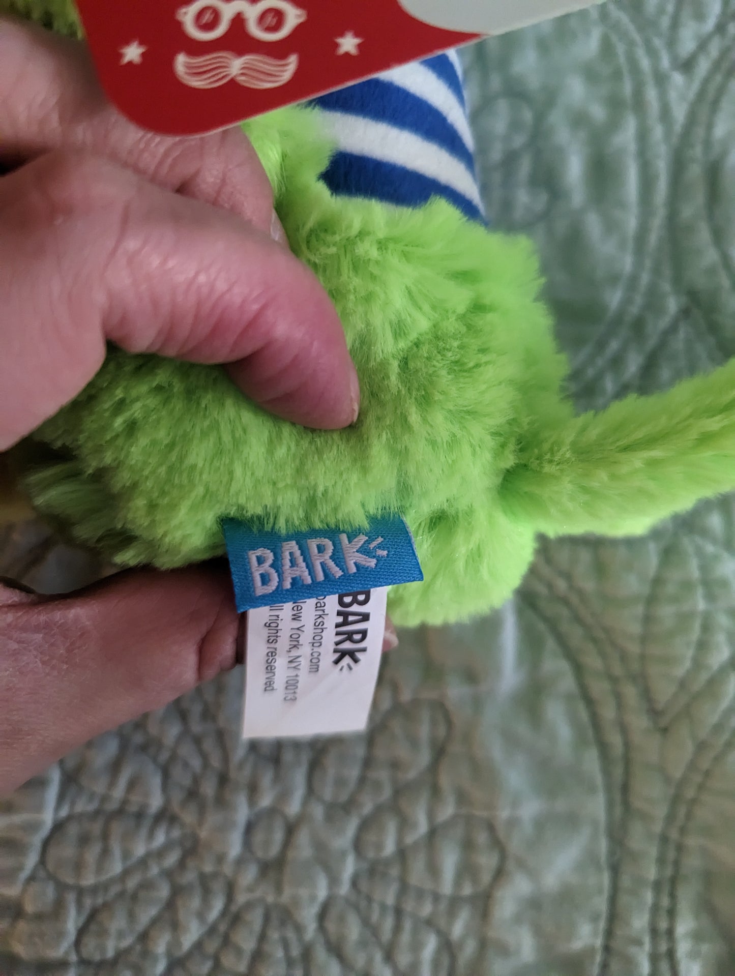 BarkBox Scally Wags