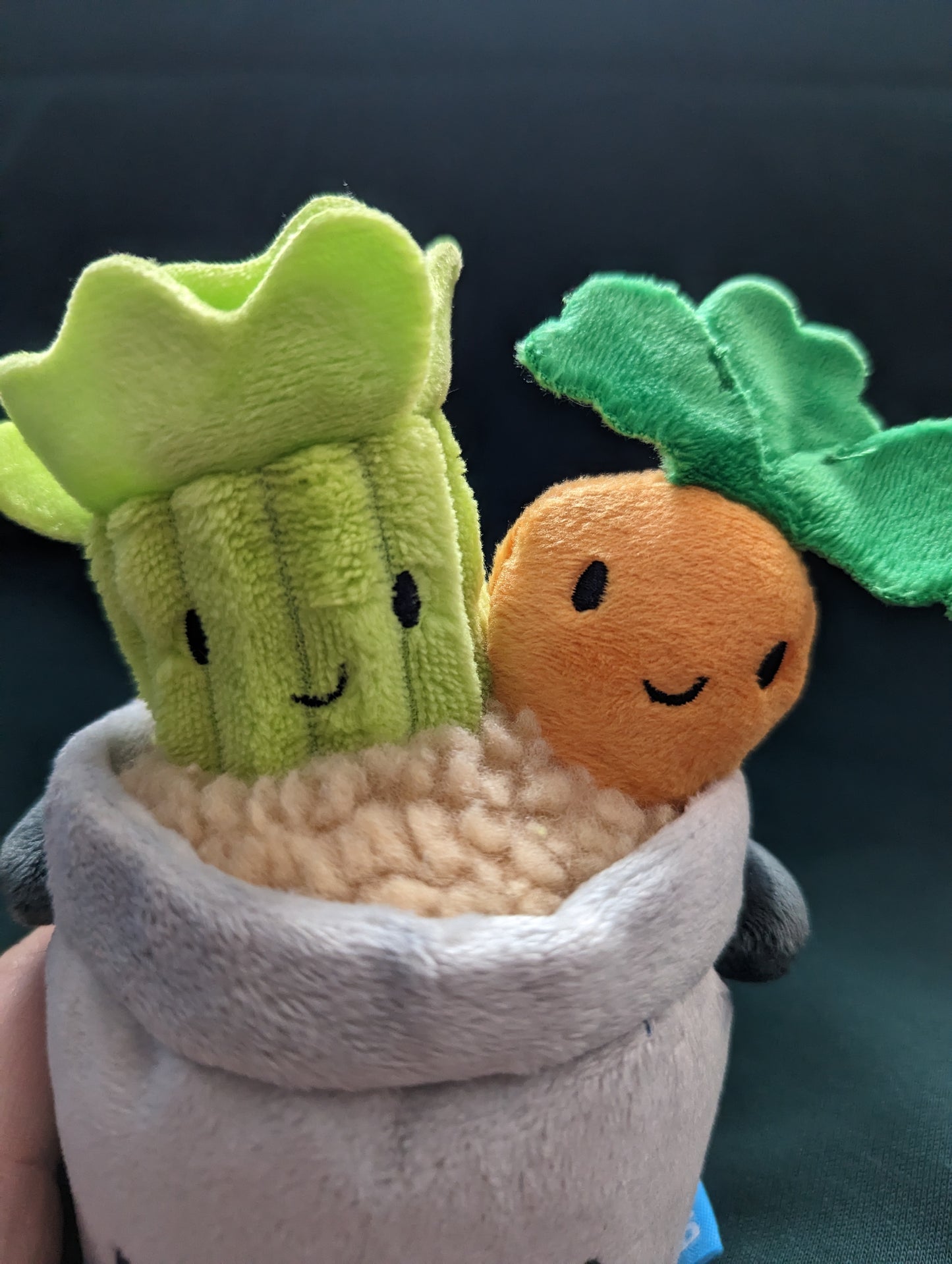 BarkBox The Soup Troop