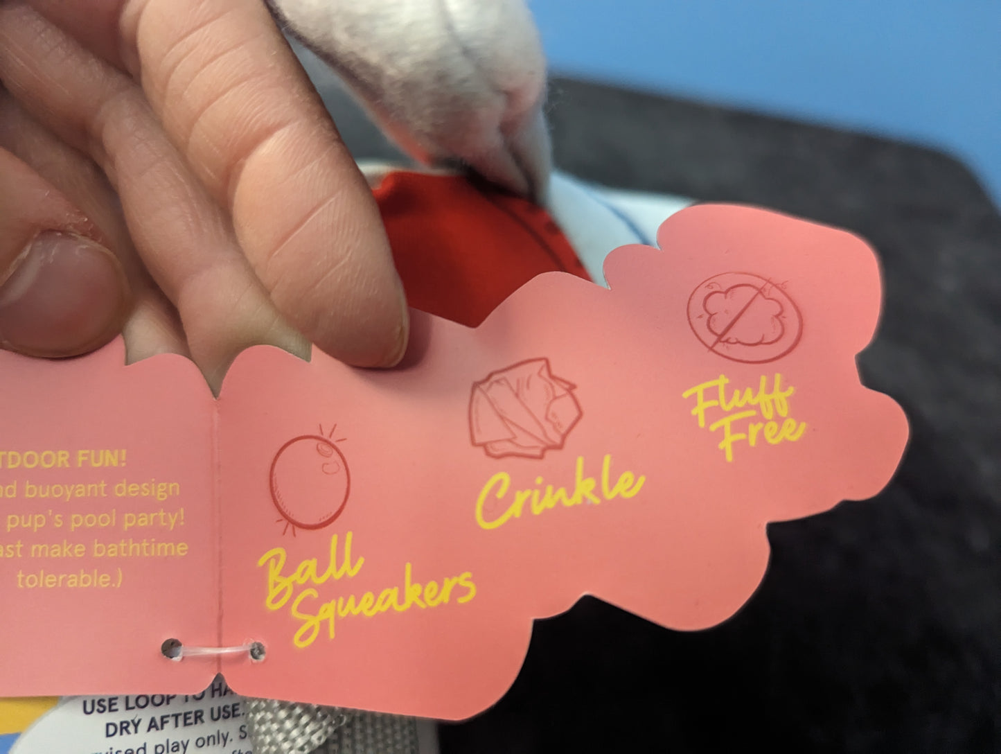 BarkBox Wingin It Seagull