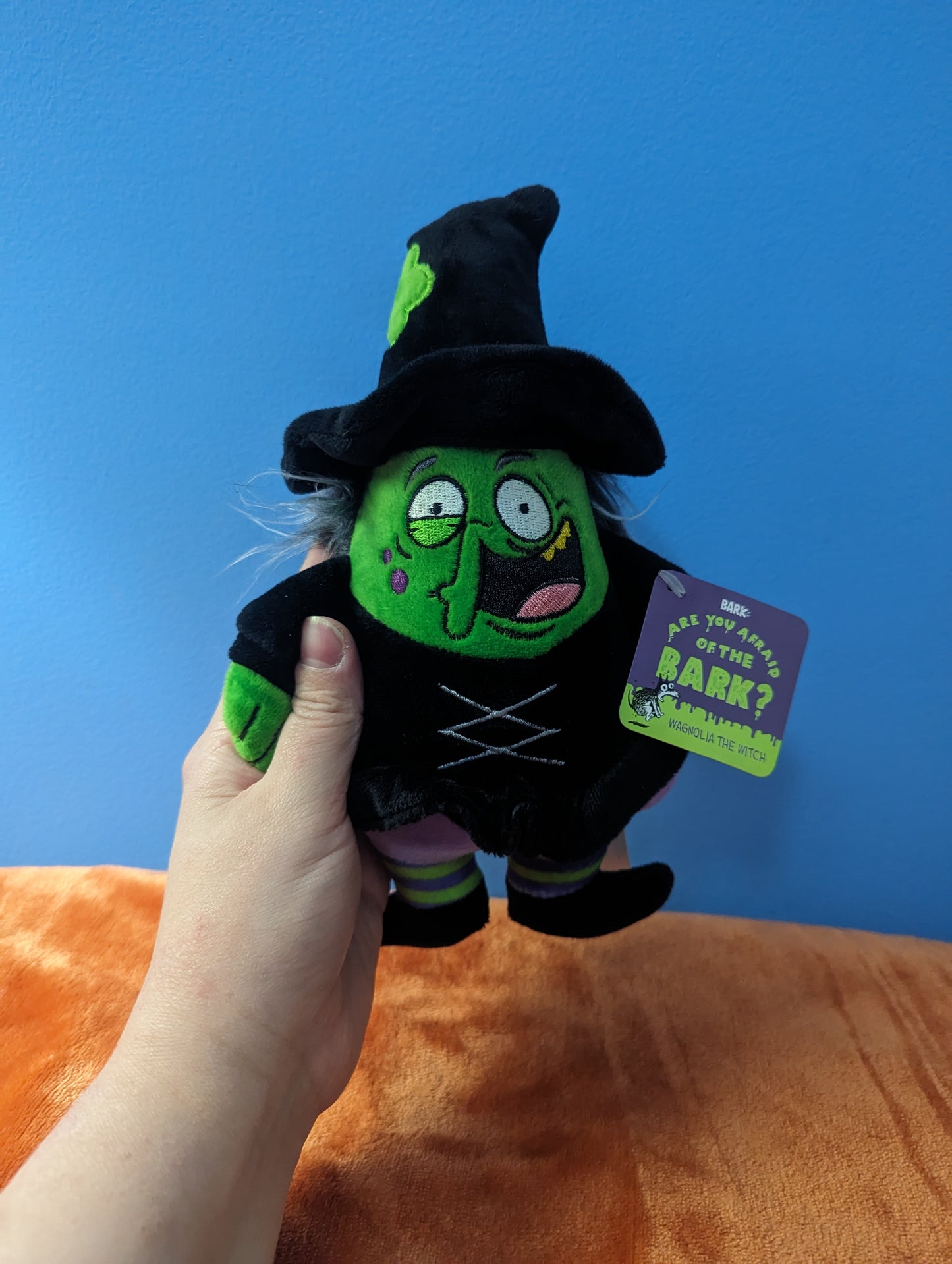 Bark box Wagnolia the witch