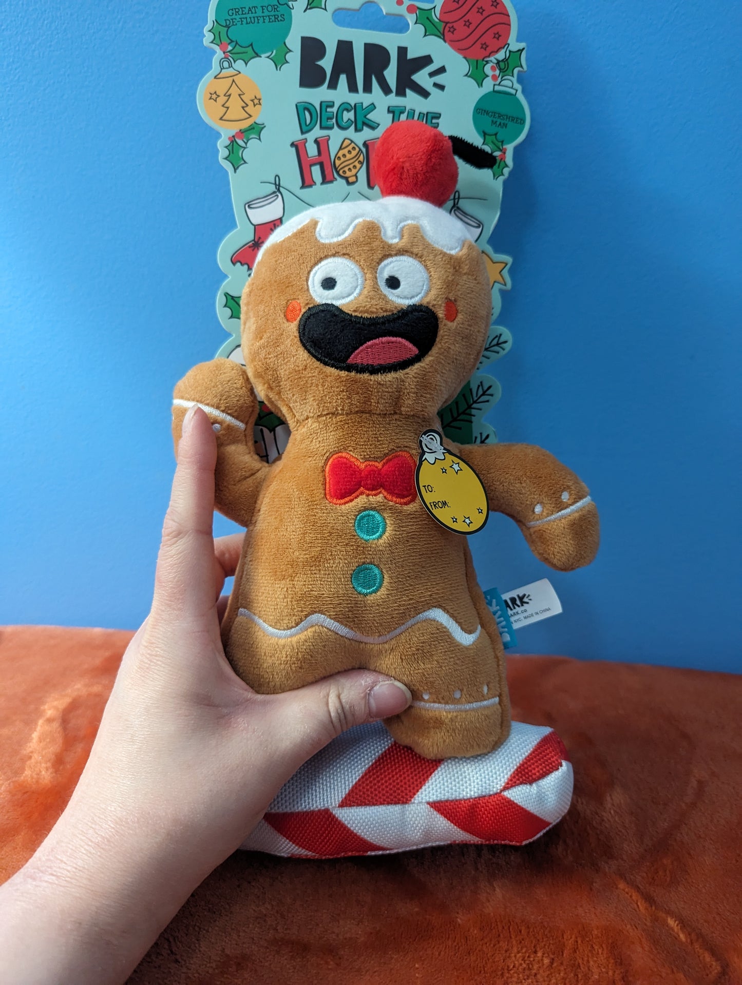 BarkBox gingershred man