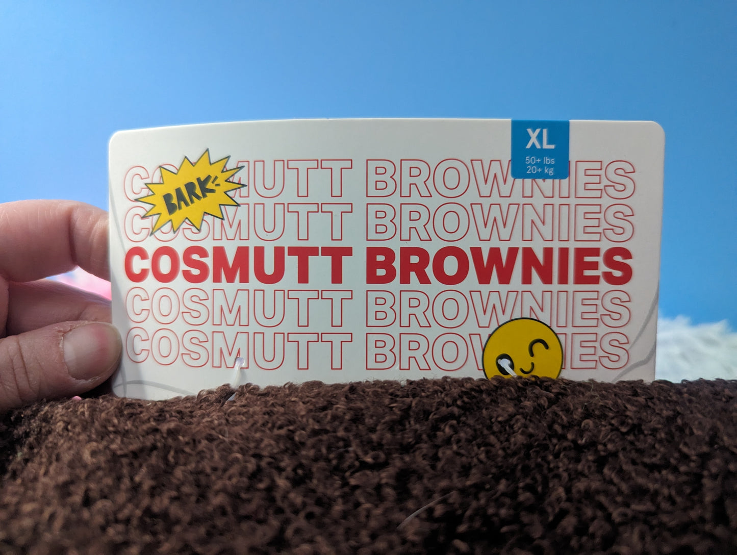 BarkBox cosmutt brownies