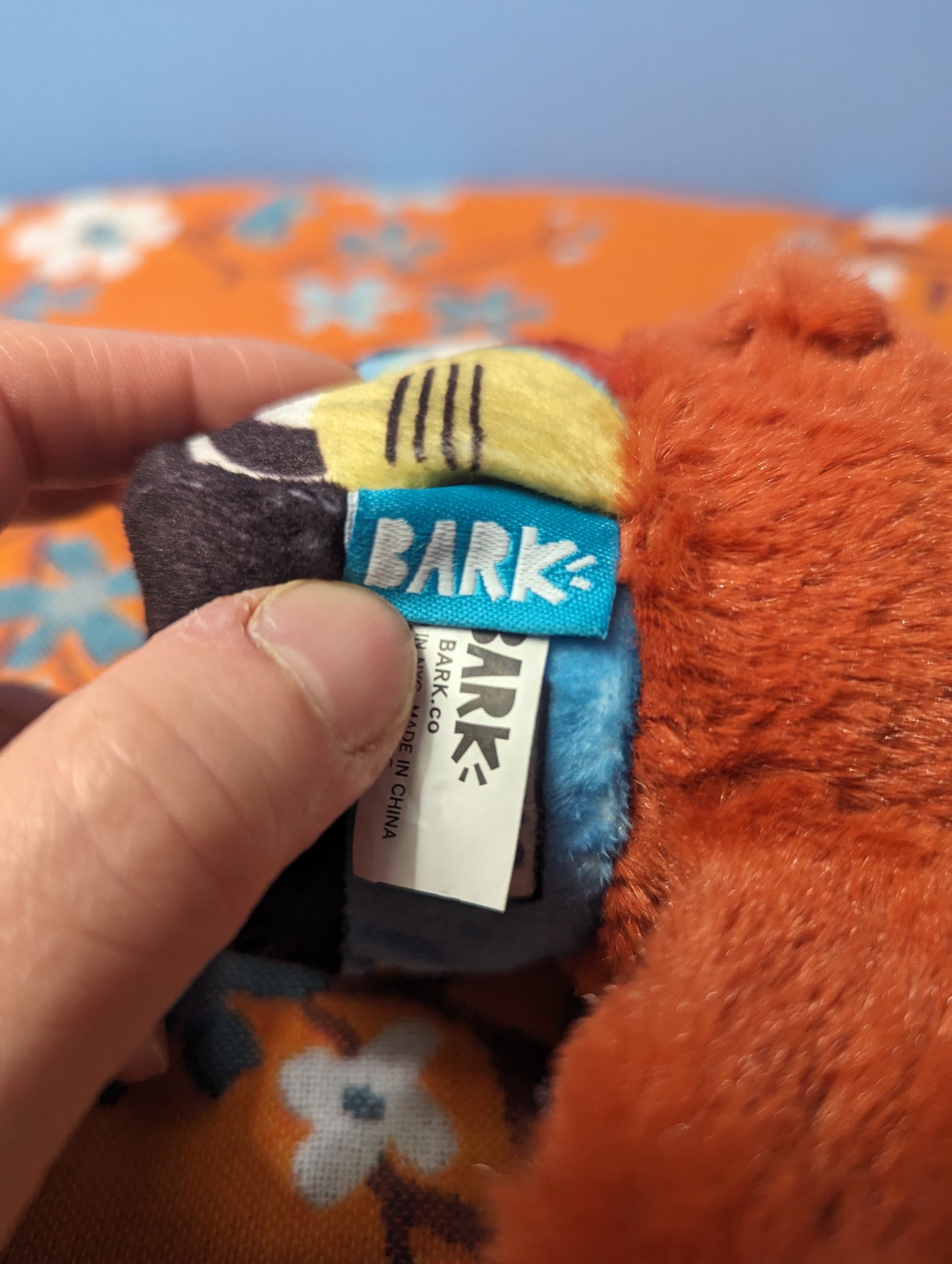 BarkBox buona squirrela