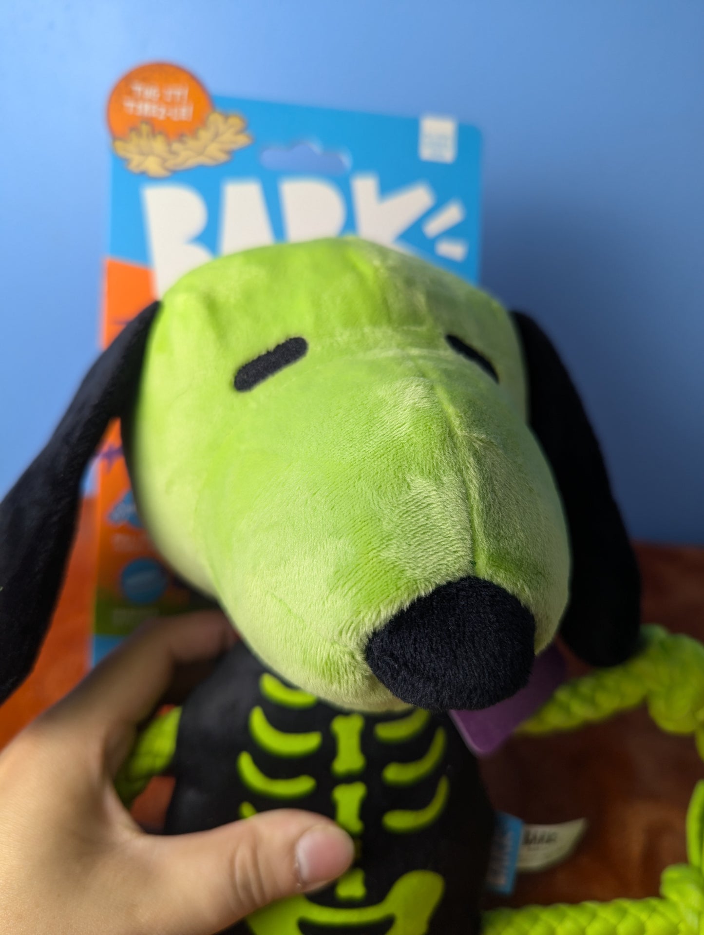 Barkbox rattling bones beagle