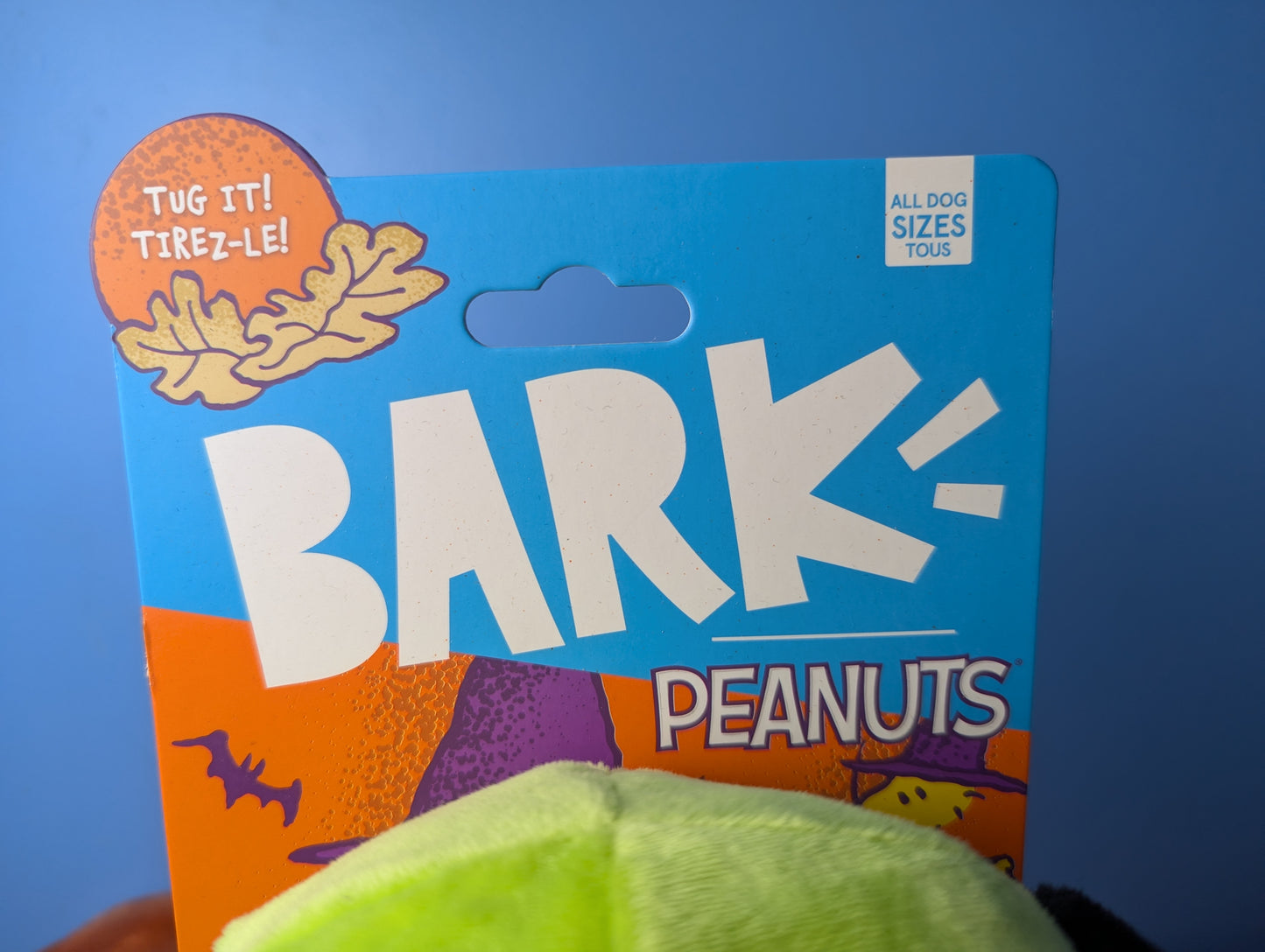 Barkbox rattling bones beagle