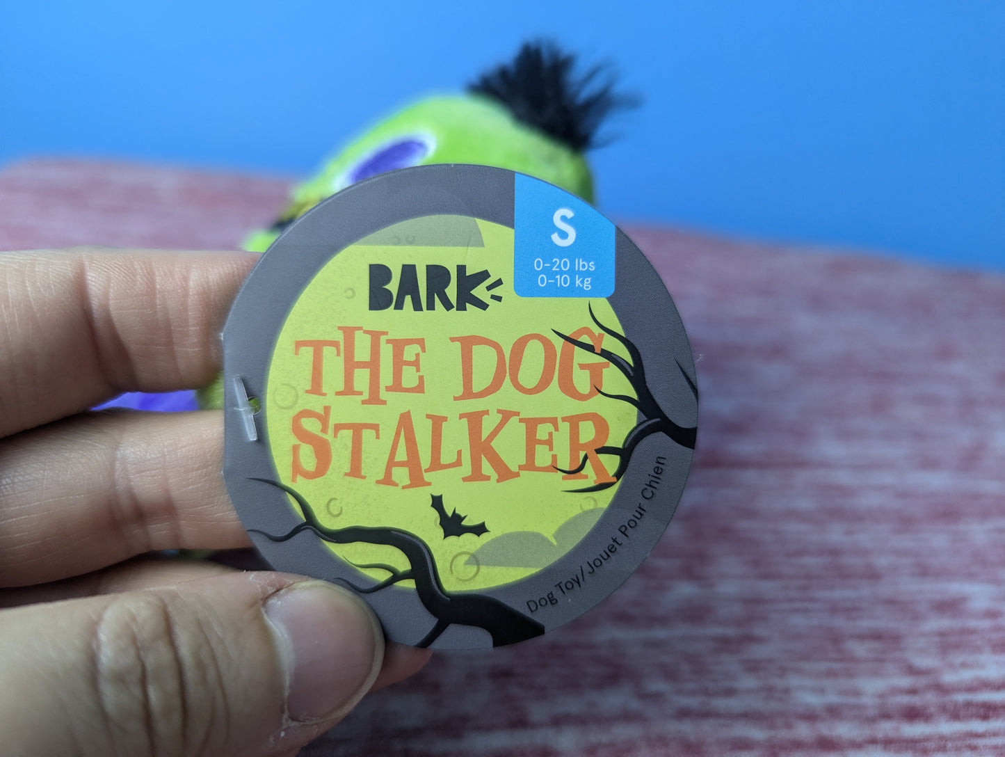Barkbox the dog stalker