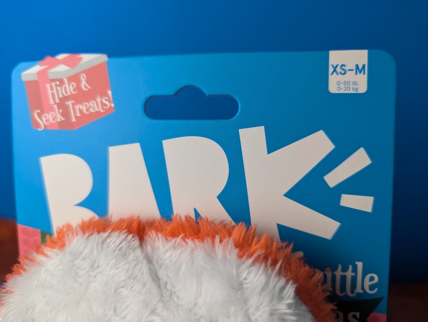 Barkbox Santa's Jolly Cookie Jar