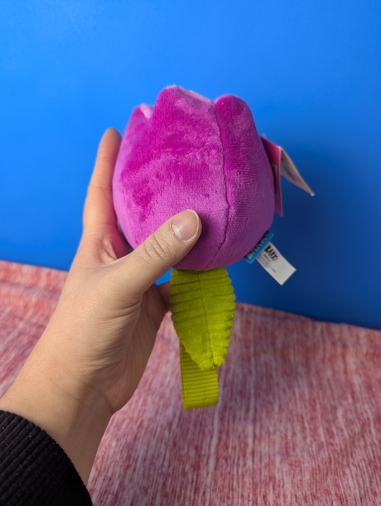 BarkBox Plucky Tulip Tug