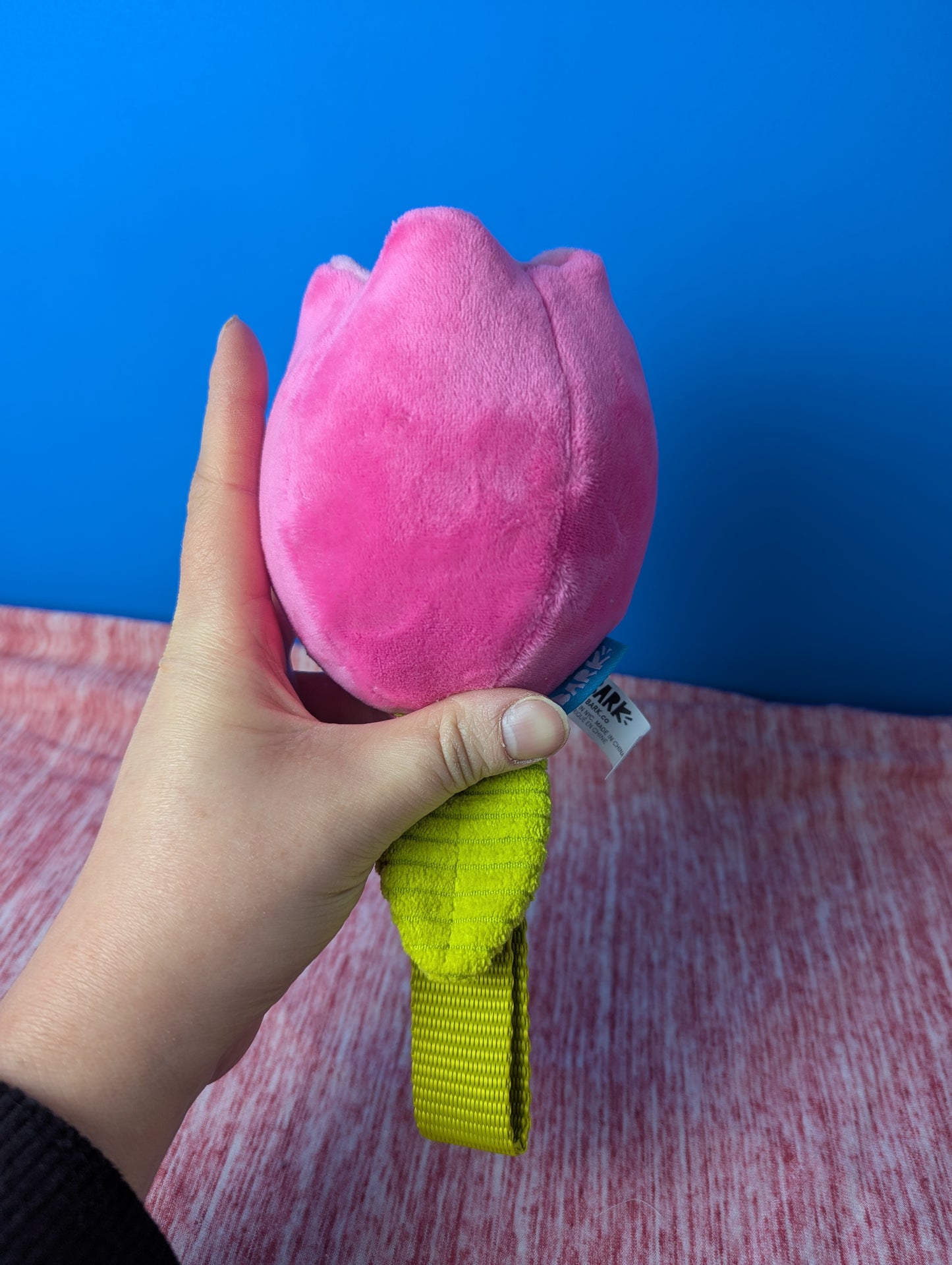 BarkBox Plucky Tulip Tug
