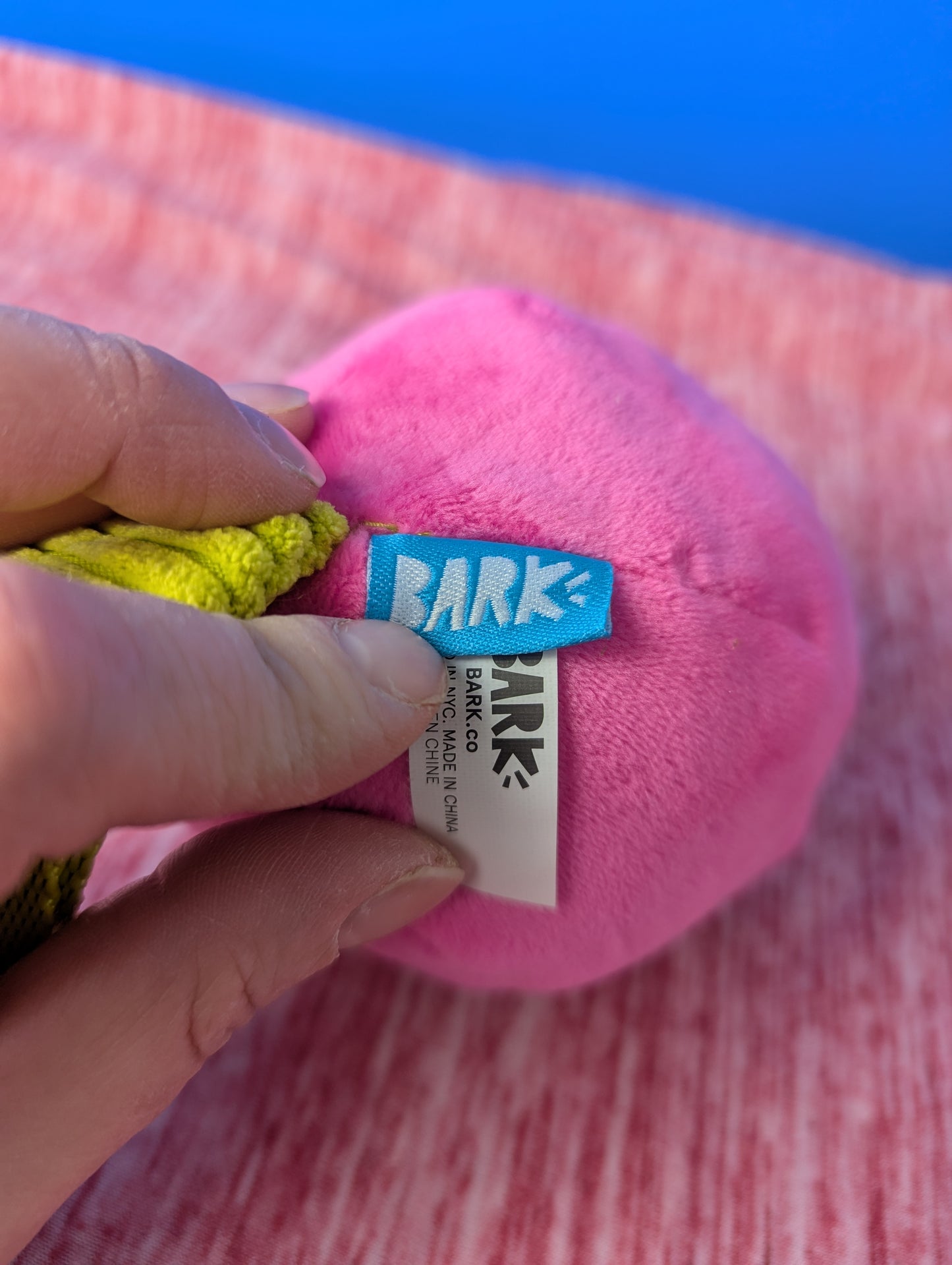BarkBox Plucky Tulip Tug