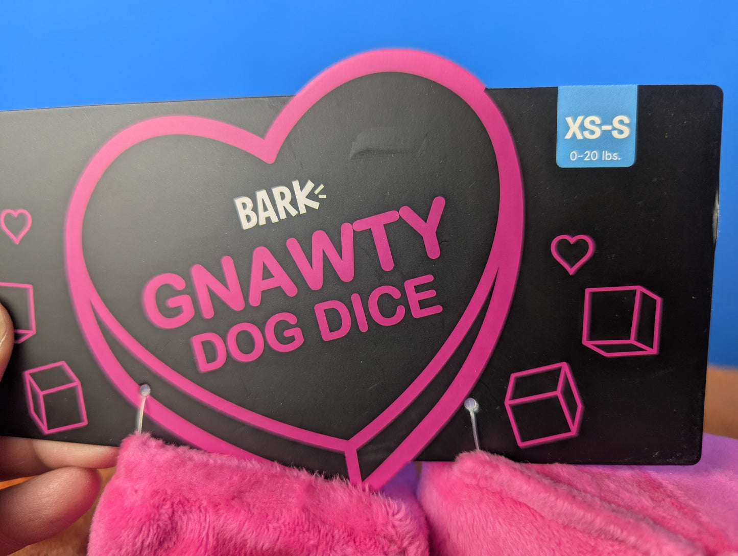 BarkBox Gnawty Dog Dice
