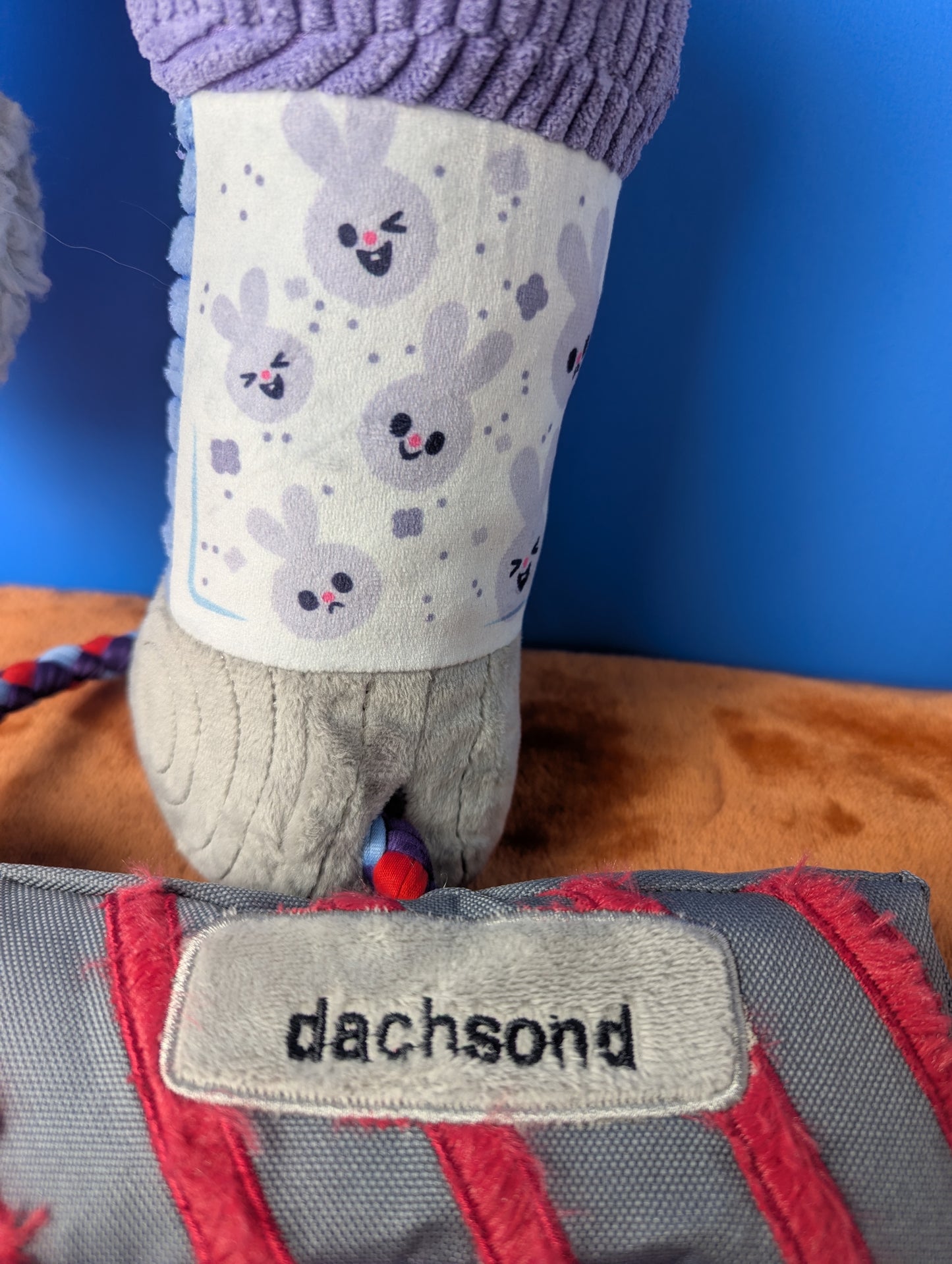 BarkBox Maytug Vacuum