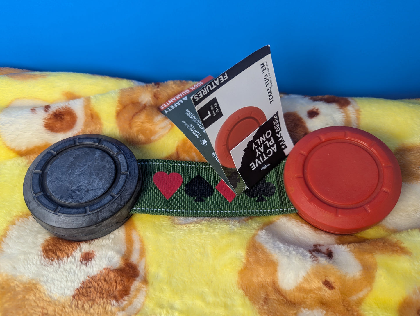 BarkBox Texas Tug em'