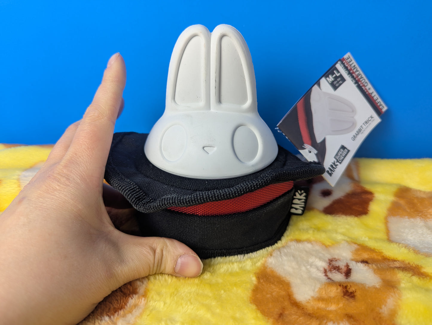 BarkBox Grabbit Trick