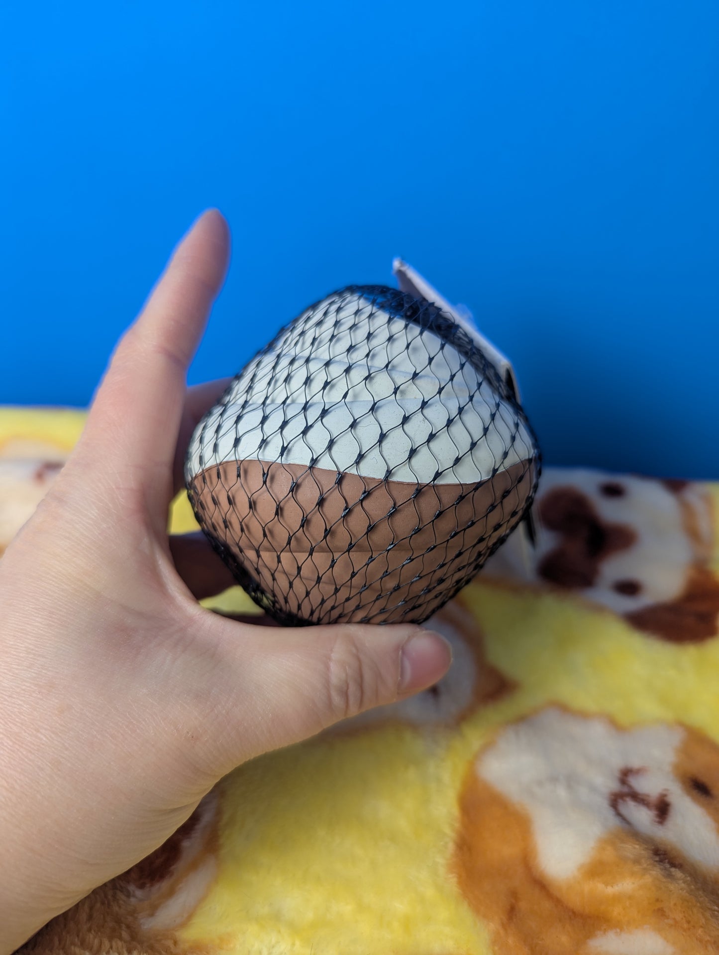 BarkBox Scooper chewer Swirl