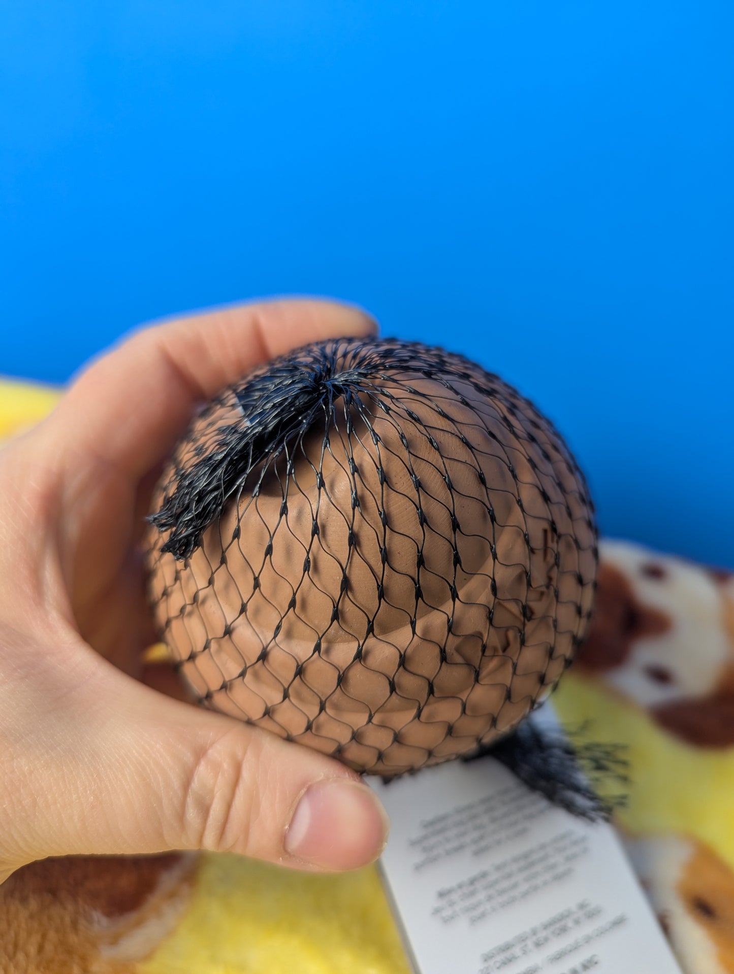 BarkBox Scooper chewer Swirl