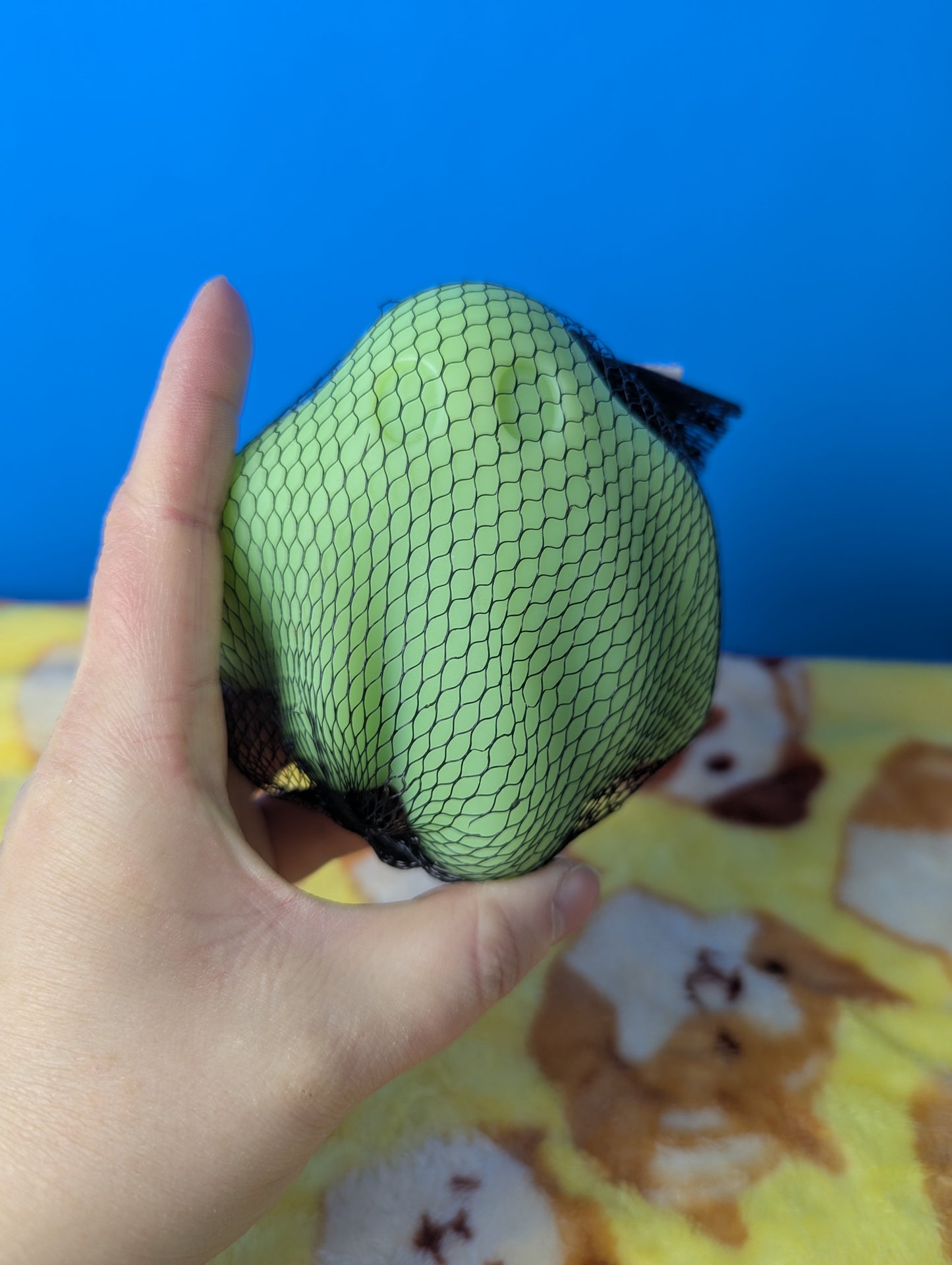 BarkBox Holey Sheet