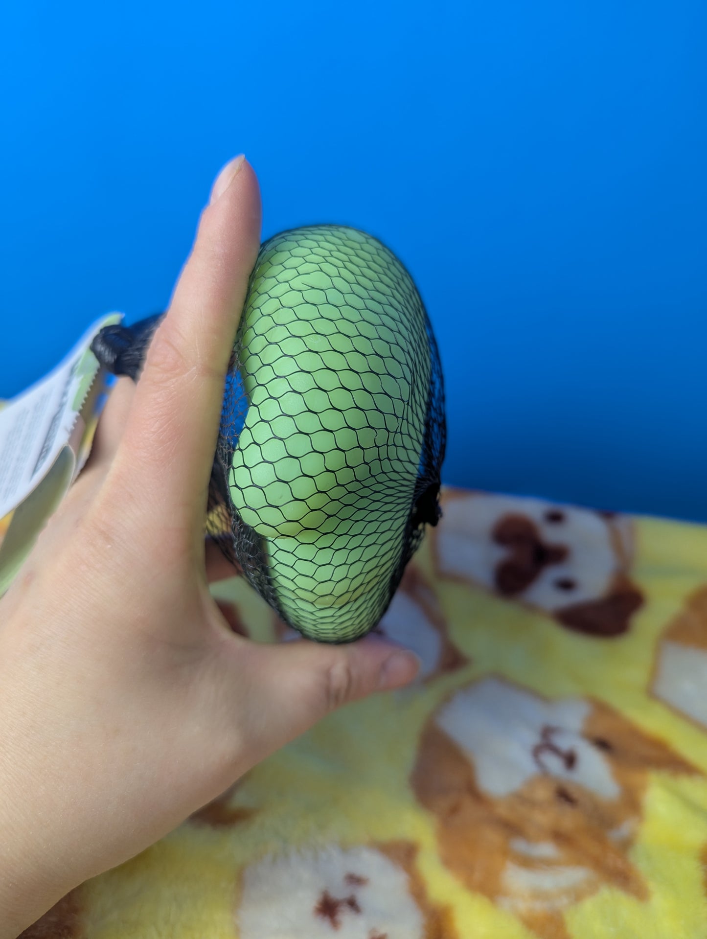 BarkBox Holey Sheet