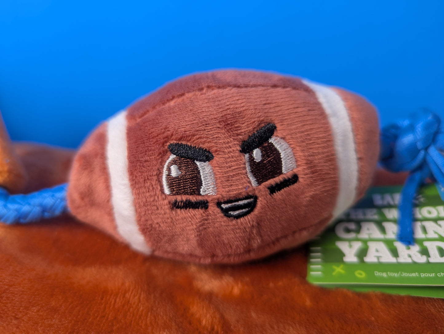 BarkBox the whole canine yards