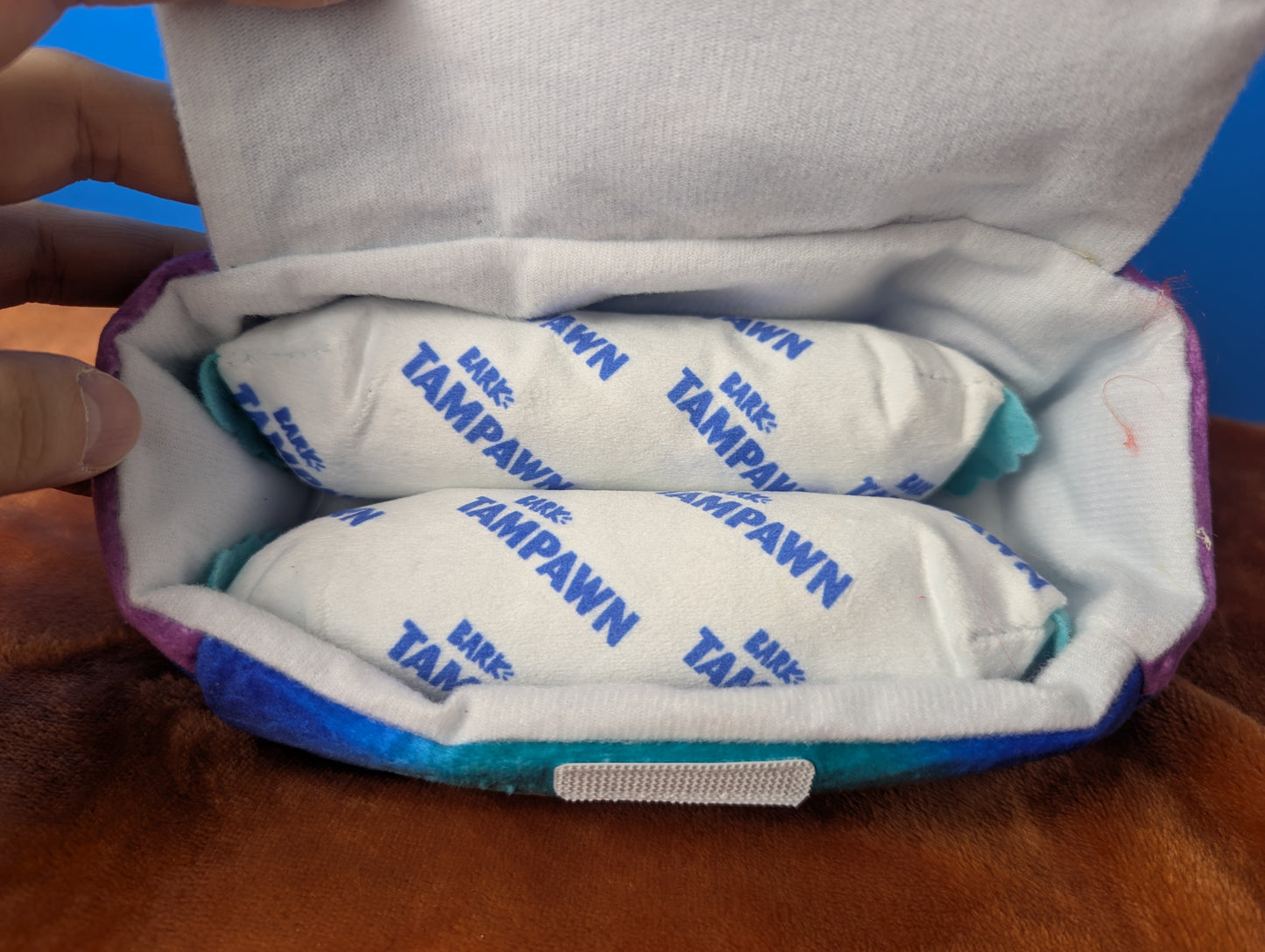 BarkBox Tampawns