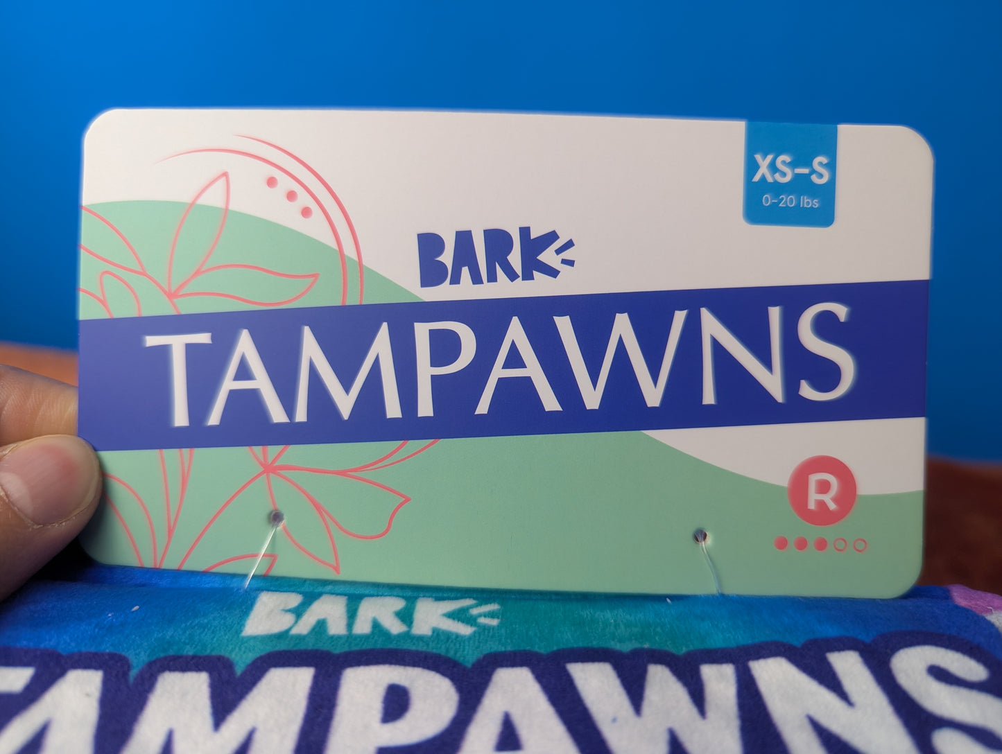 BarkBox Tampawns