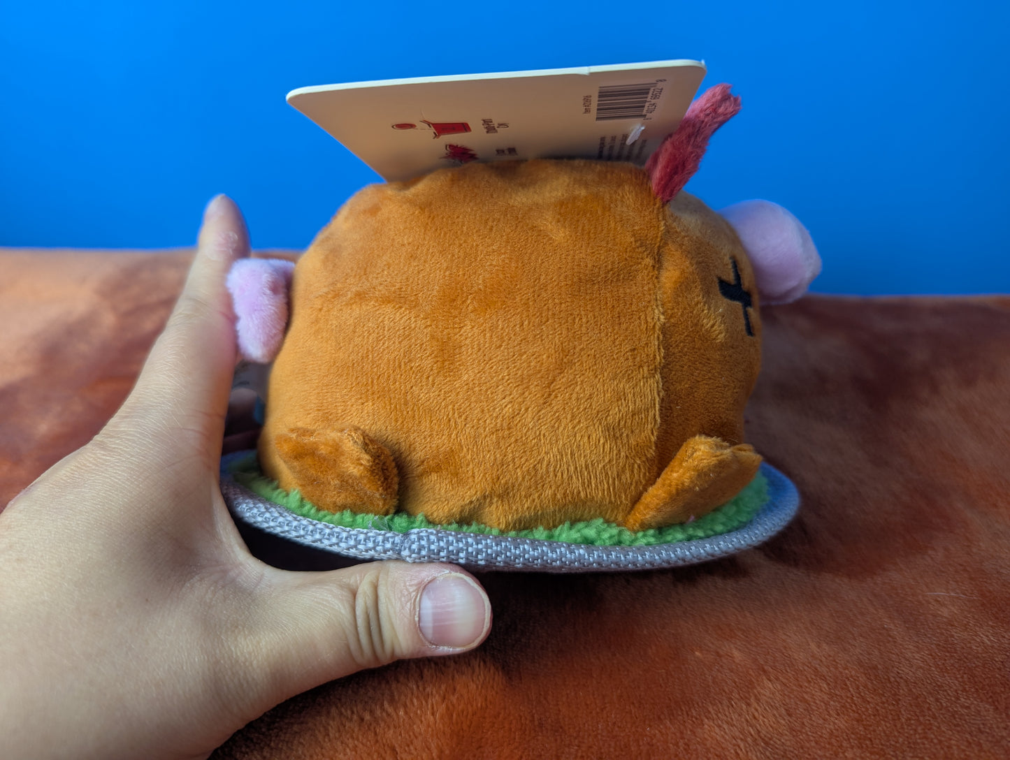 Barkbox Squeakling Pig