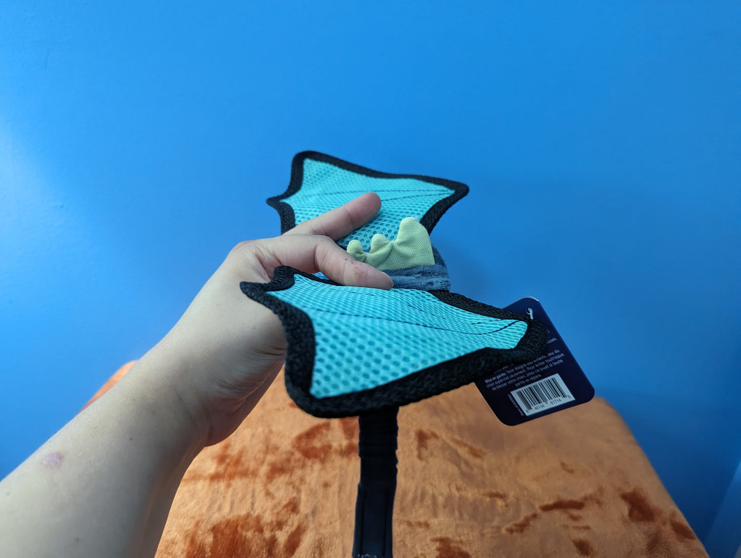 BarkBox Doggo Dragon Wings