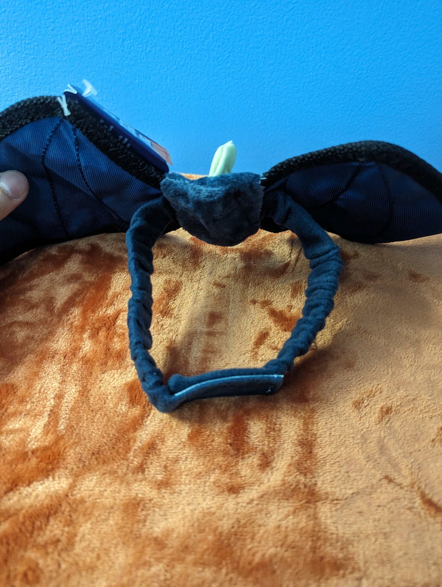 BarkBox Doggo Dragon Wings