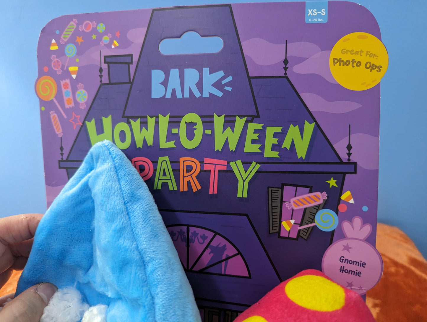 BarkBox Gnomie Homie