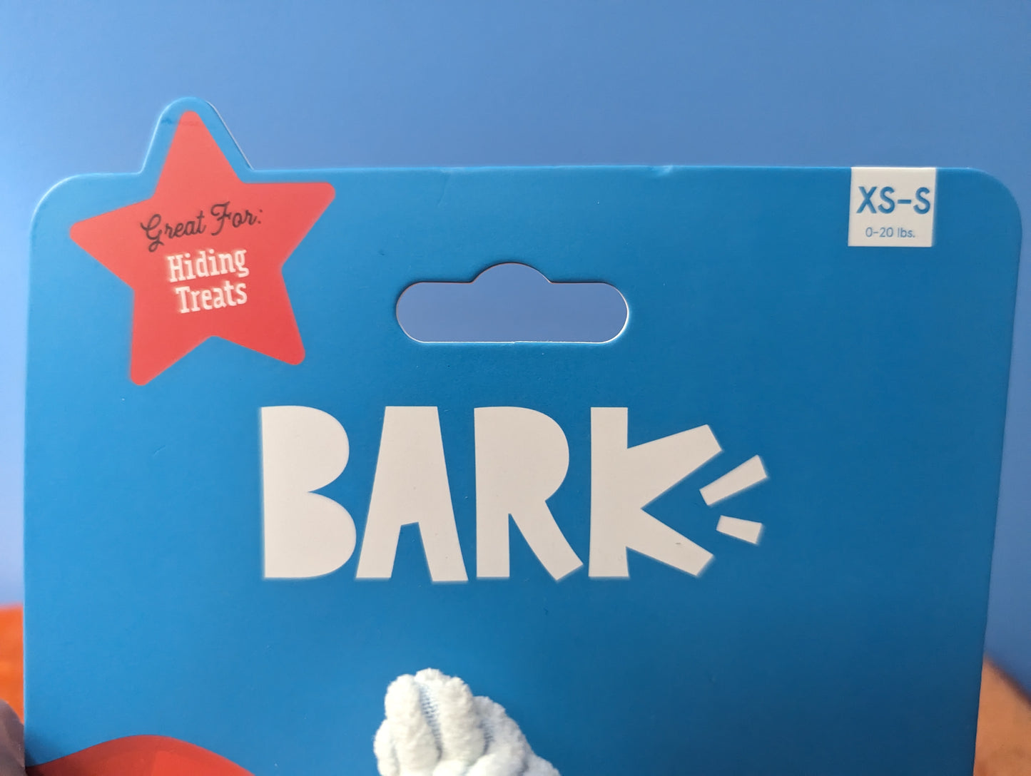 BarkBox founding funnel cake