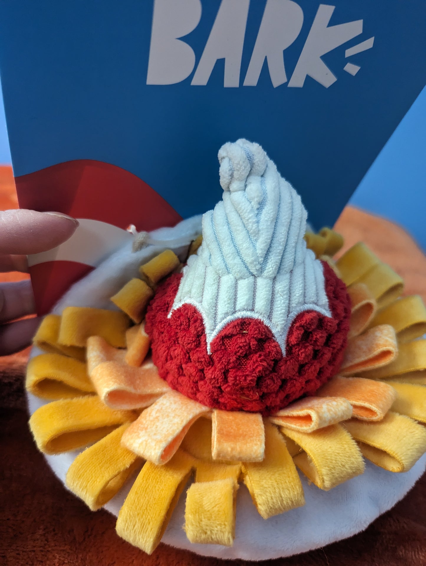 BarkBox founding funnel cake