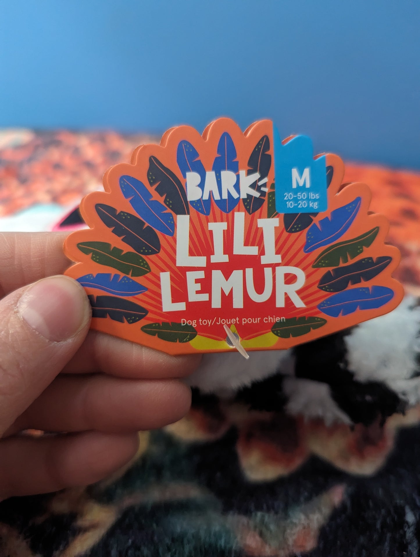 BarkBox lili lemur