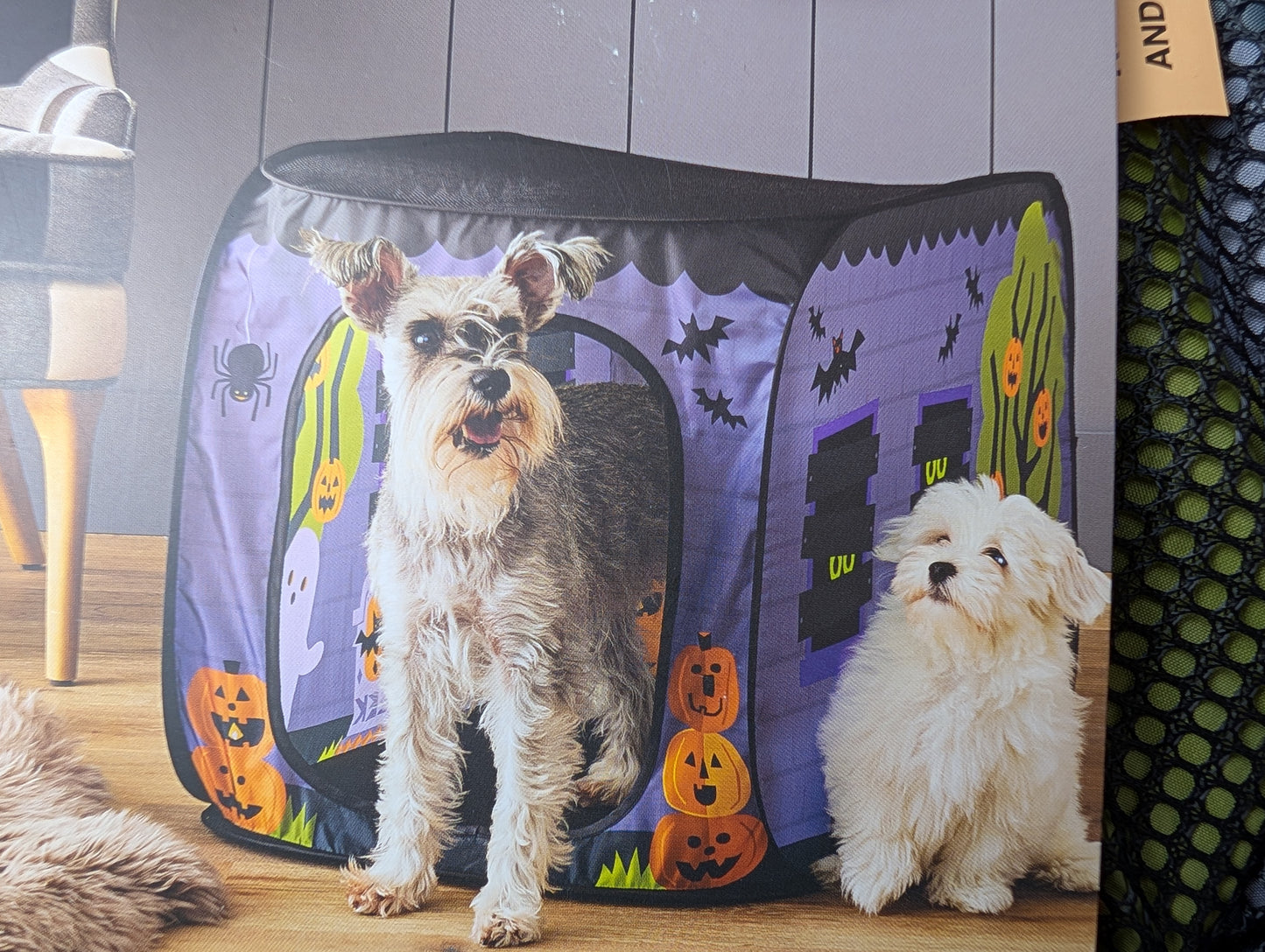Hyde and Eek Pop-up Pet Haunted House