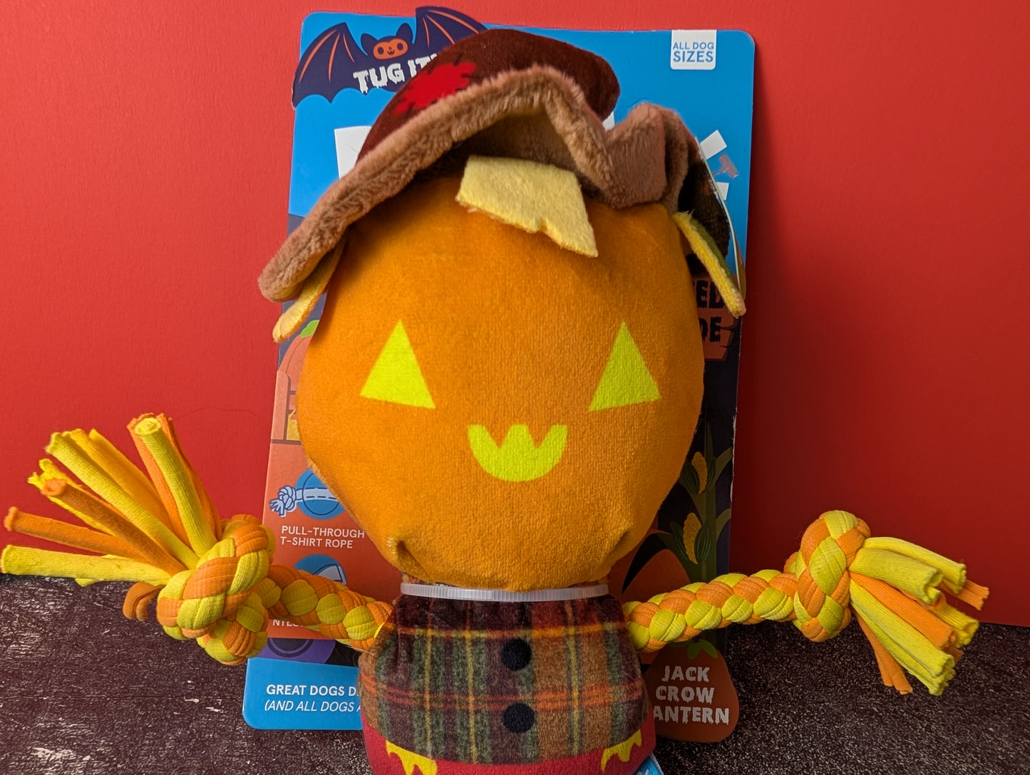 BarkBox Jack Crow Lantern