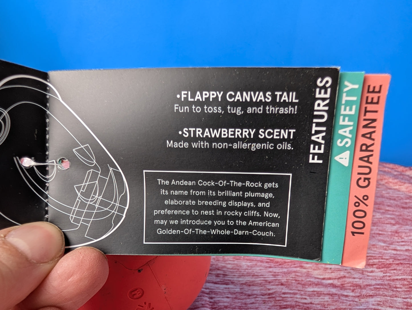 Barkbox Ricardo of The Rock