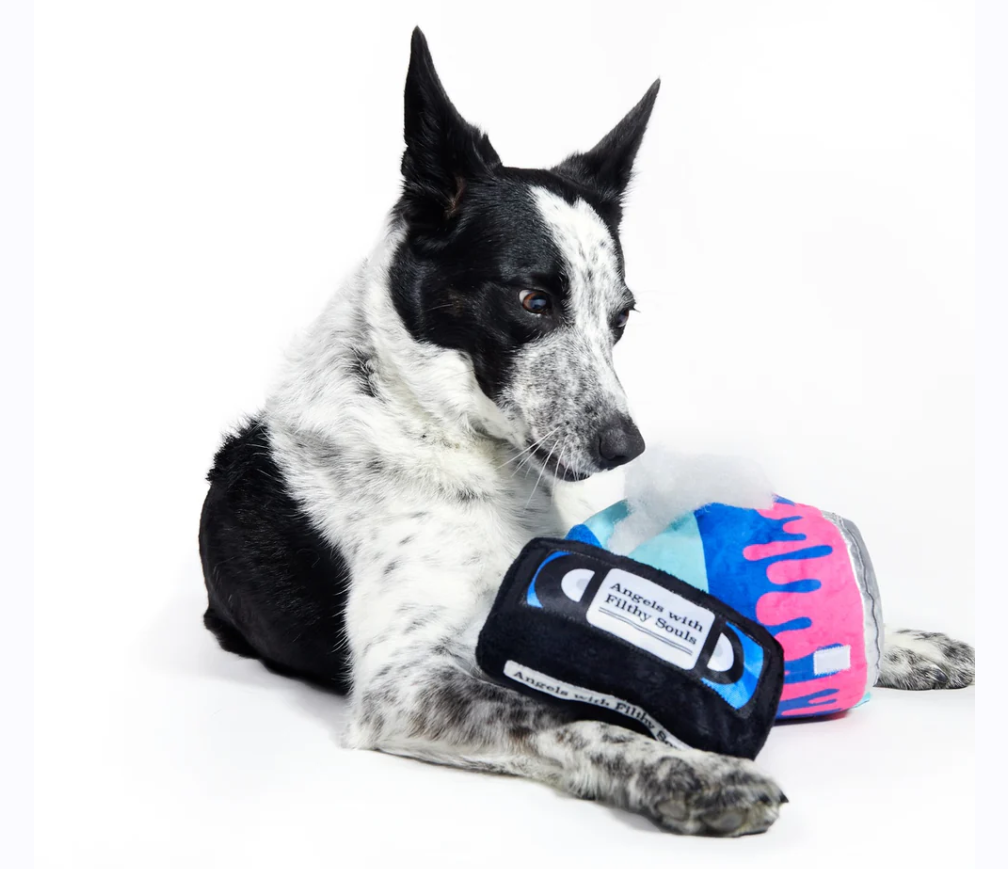 BarkBox Kevin's Paint Can