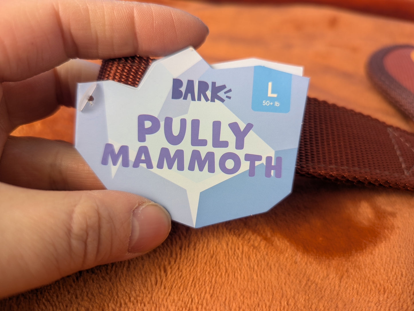 BarkBox Pully Mammoth