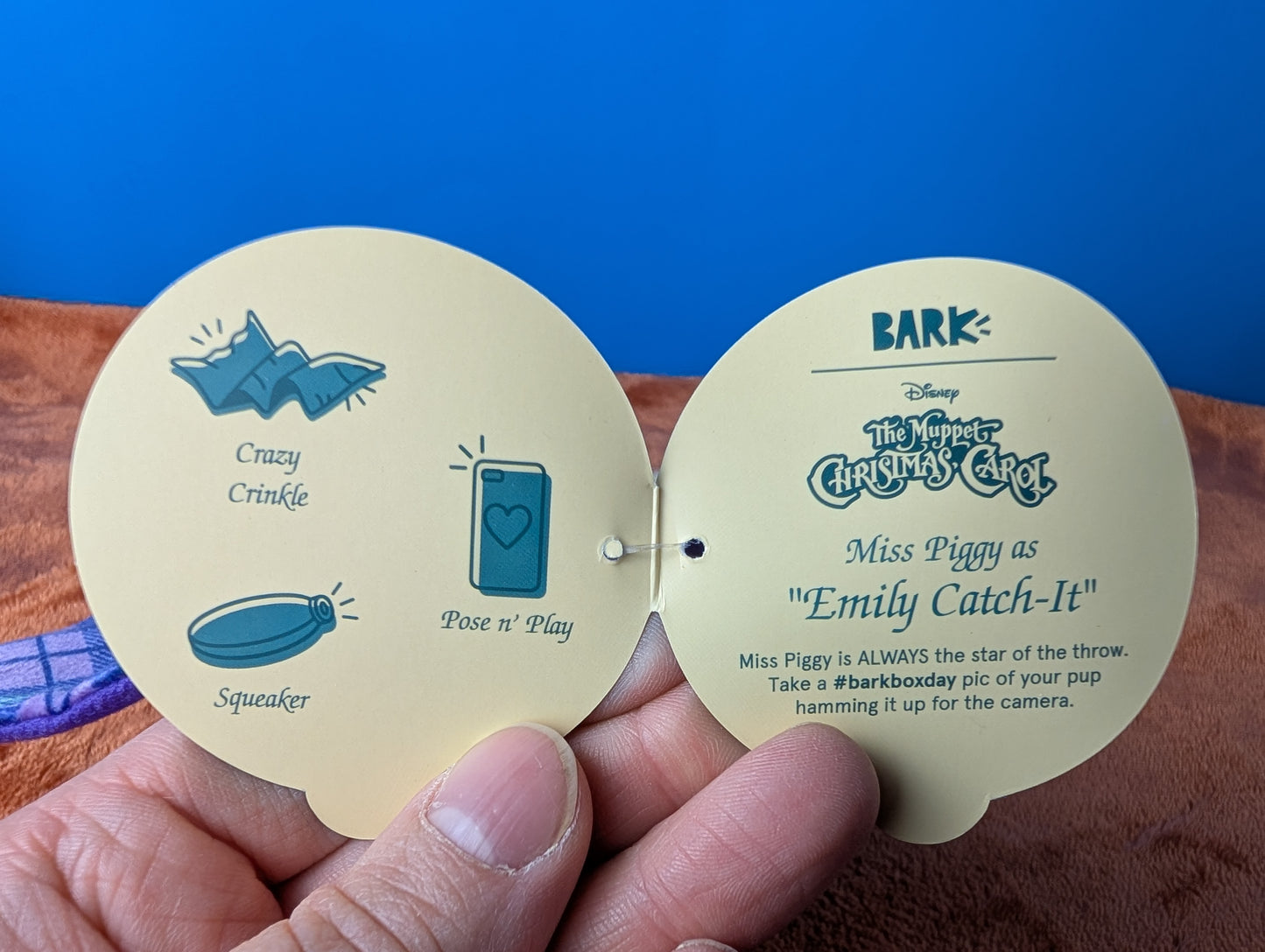 BarkBox Emily Catch-It