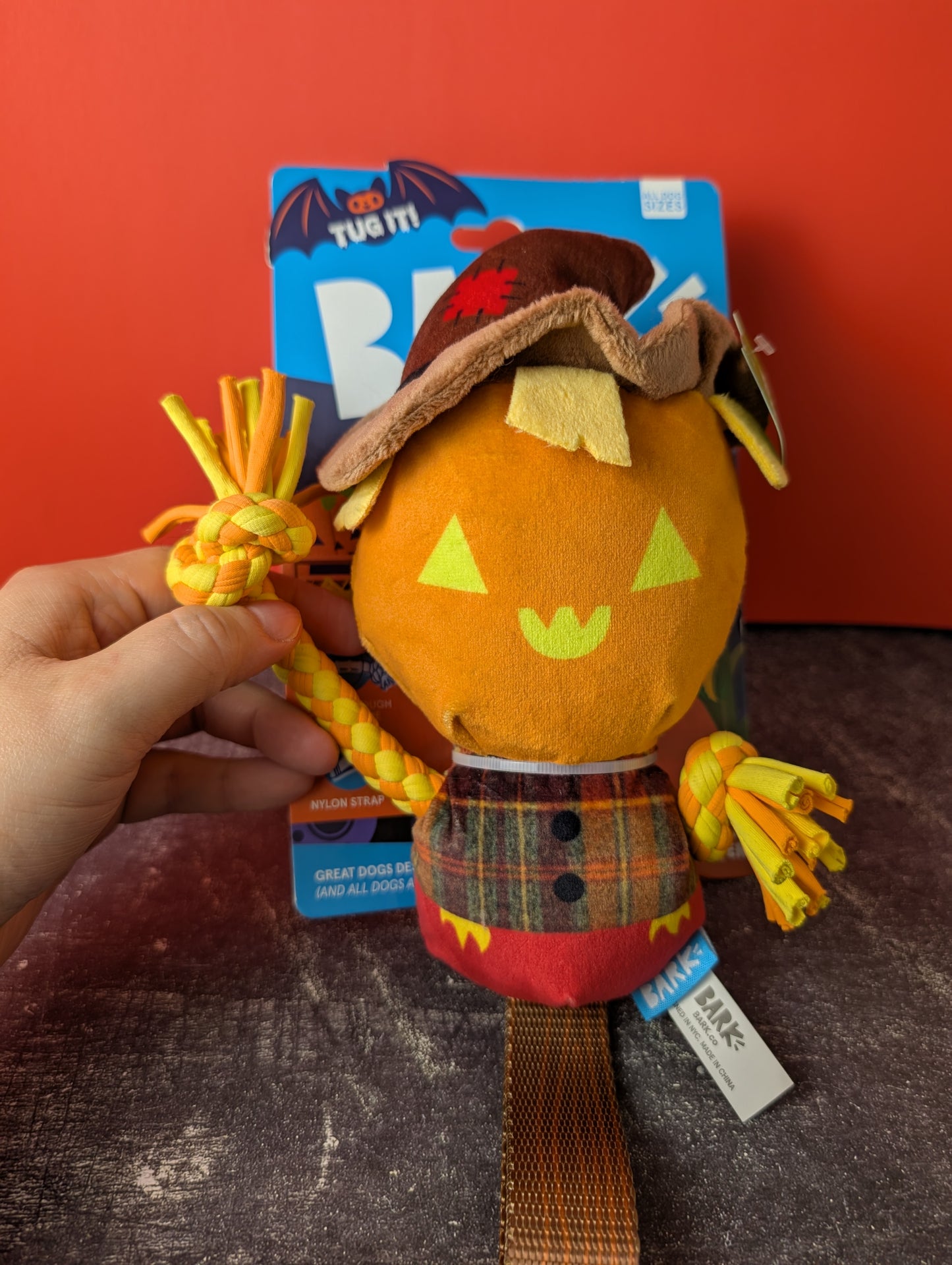 BarkBox Jack Crow Lantern