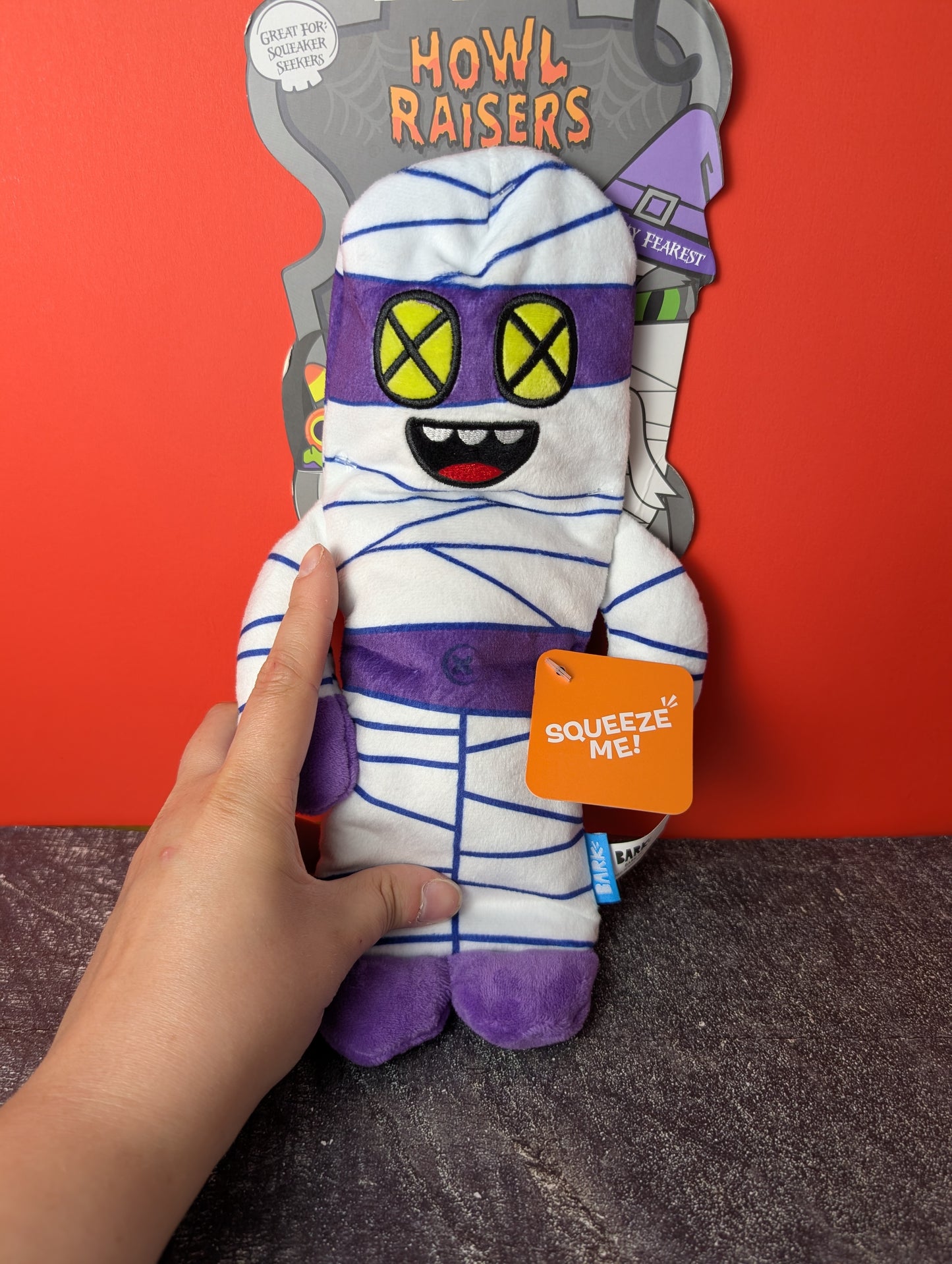 BarkBox Mummy Fearest