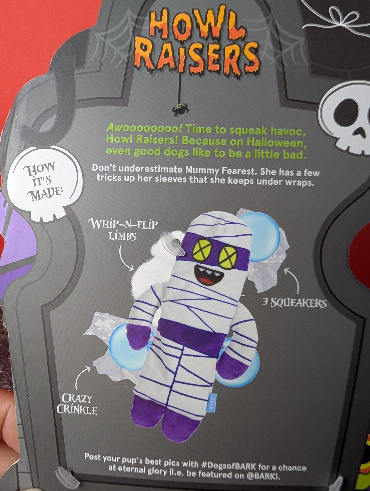 BarkBox Mummy Fearest