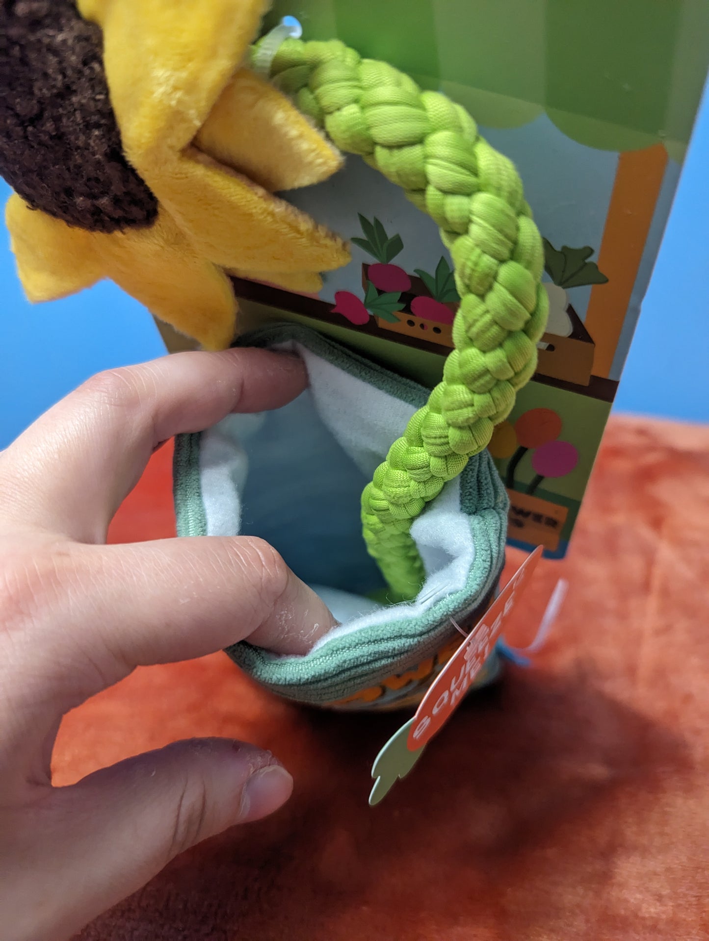 Barkbox Funflower Seeds