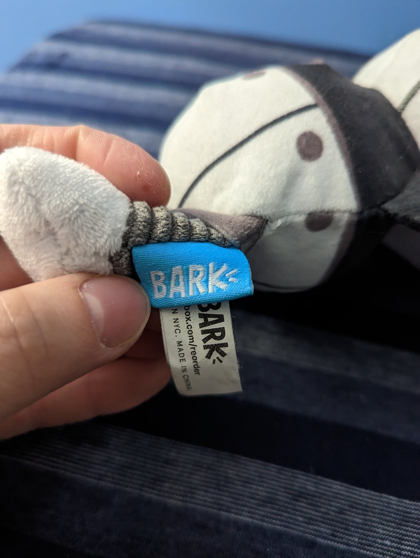 BarkBox Baby Rotten