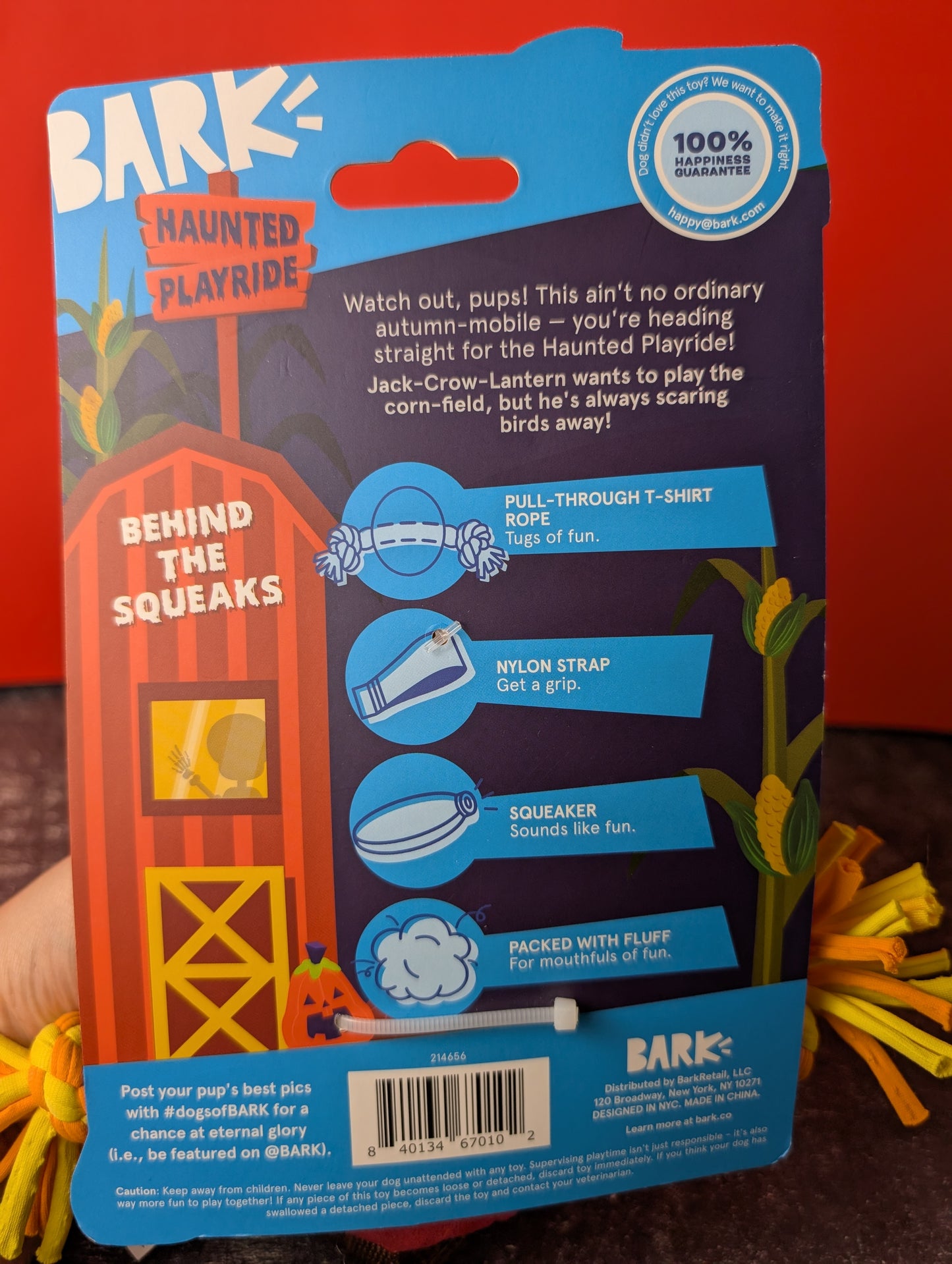 BarkBox Jack Crow Lantern