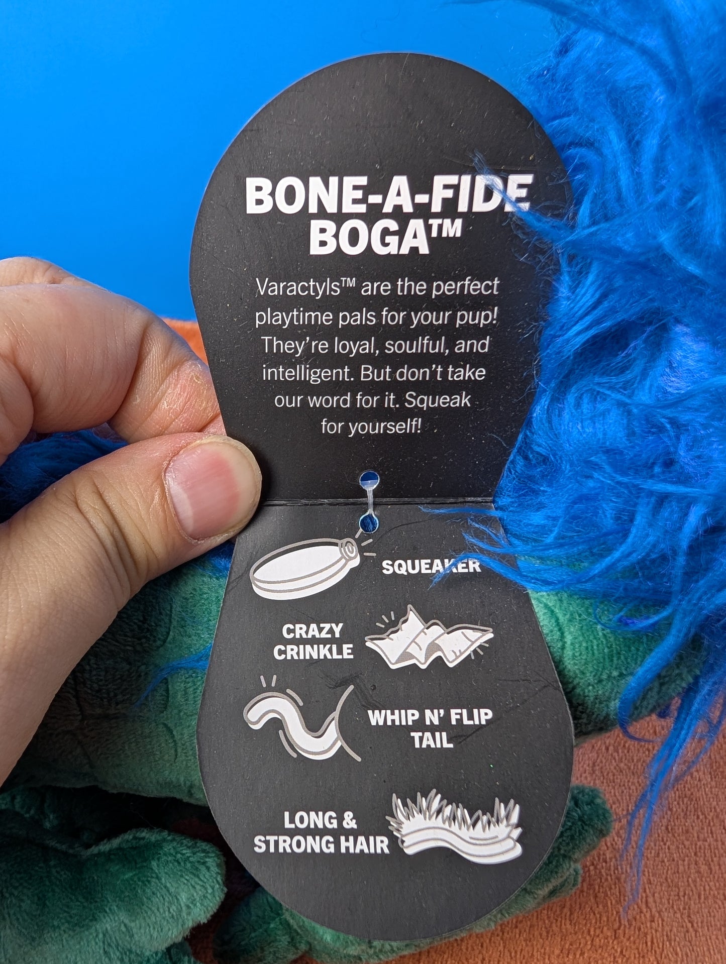 BarkBox Bone-a-fide Boga