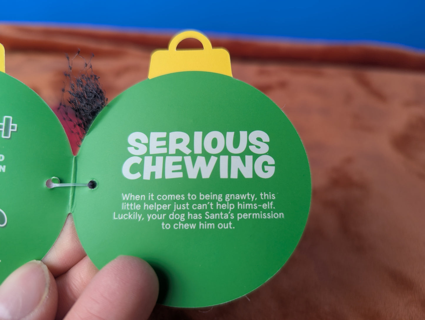 BarkBox Gnawty Elf