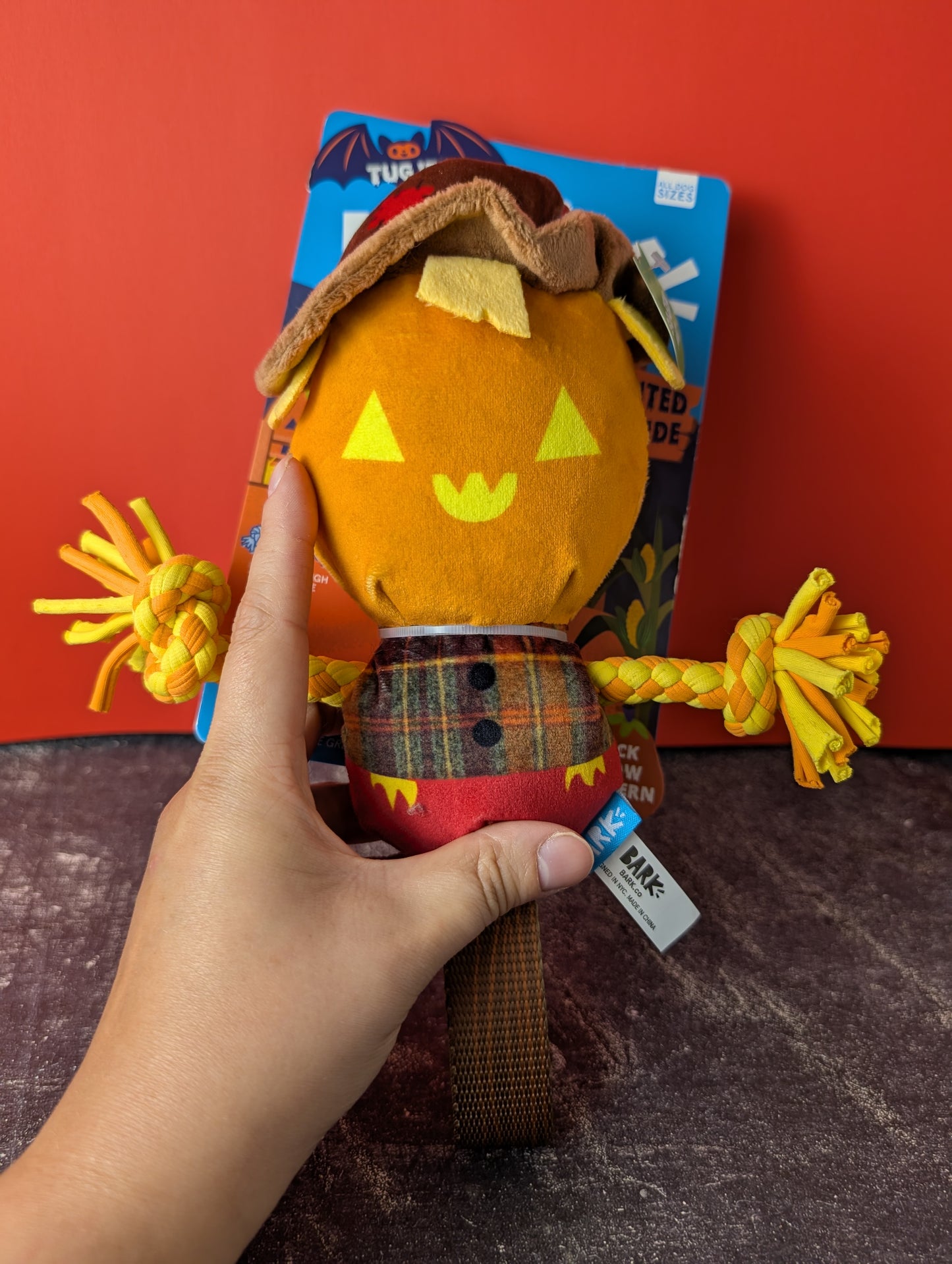 BarkBox Jack Crow Lantern
