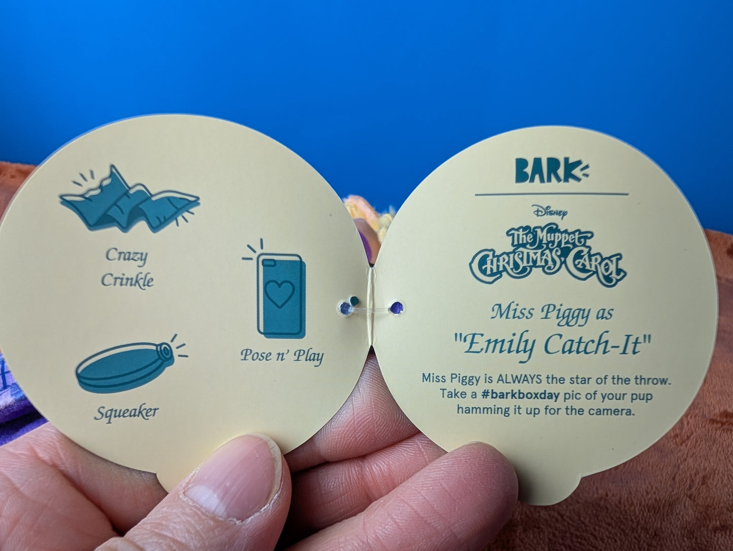 BarkBox Emily Catch-It