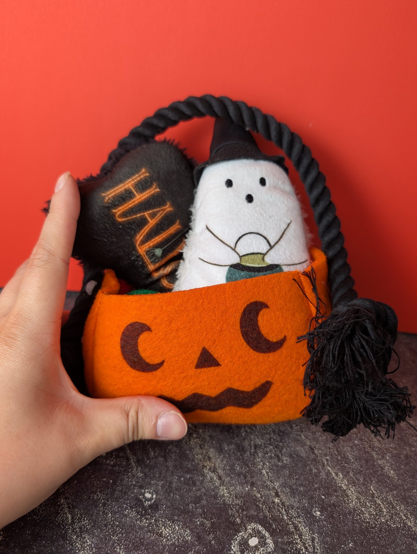 Hyde and Eek Halloween dog toy gift set