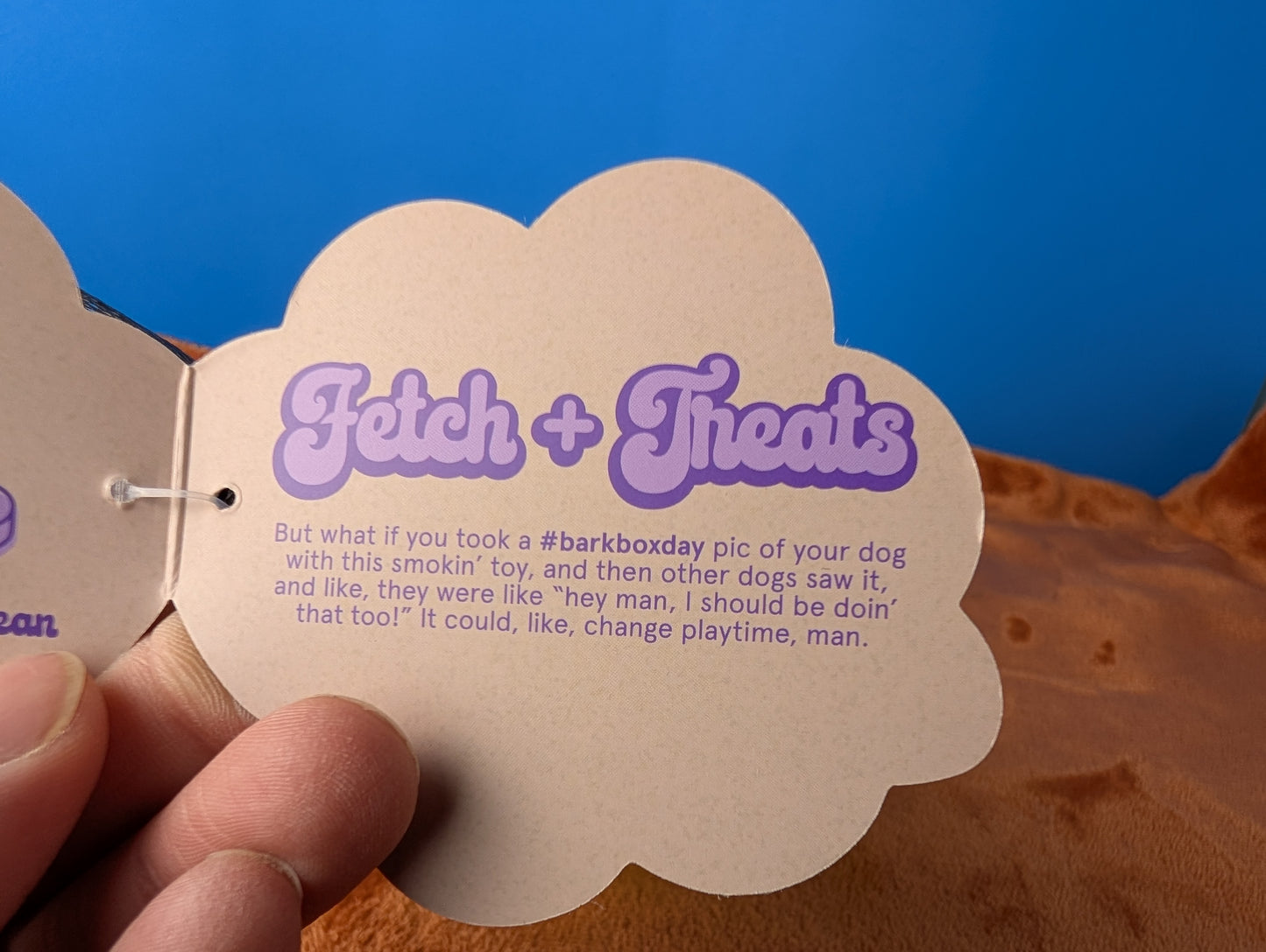 Barkbox Snacked Packed Bong